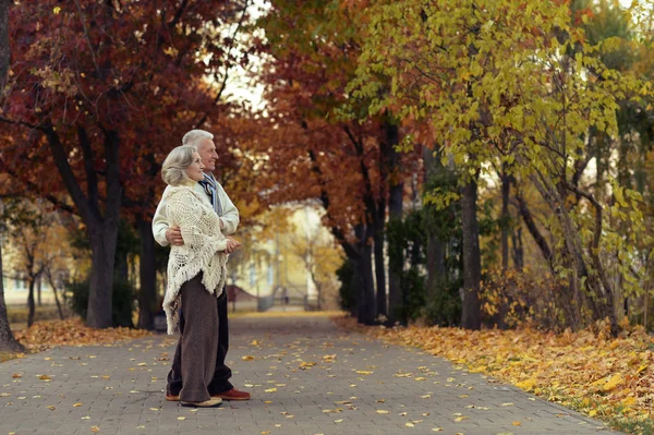 Seniorenpaar steht im Park — Stockfoto