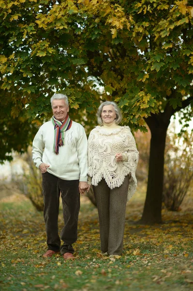 Seniorenpaar steht im Park — Stockfoto