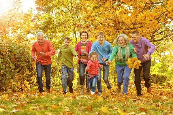 Büyük aile eğleniyor — Stok fotoğraf