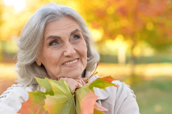 Žena držící podzimní listy — Stock fotografie