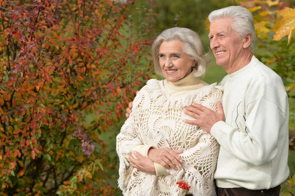 Pareja mayor abrazándose en el parque — Foto de Stock