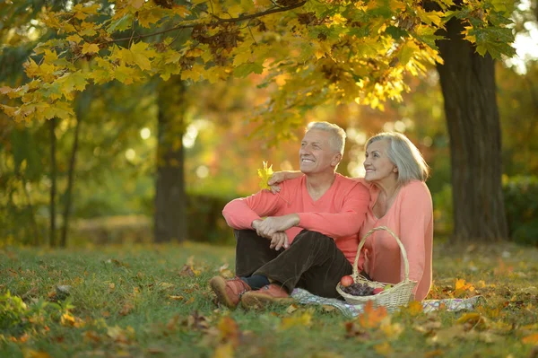 秋の公園でピクニックを持っているカップル — ストック写真