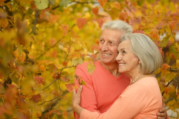 Senior para przytulanie w parku — Zdjęcie stockowe