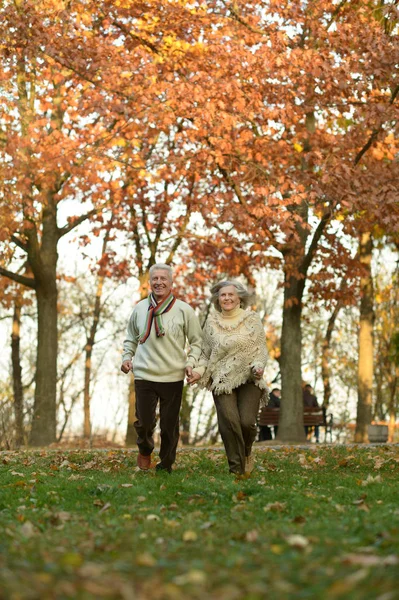 Paar geht im Park spazieren — Stockfoto