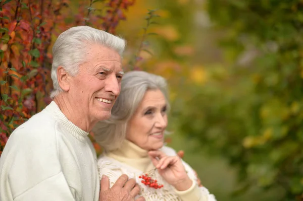 Senior couple hugging   in the park — Stock Photo, Image