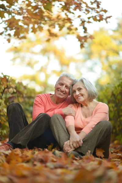 Пожилая пара, сидящая в парке — стоковое фото