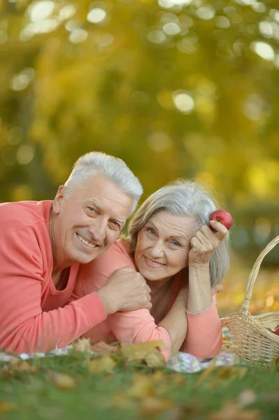 Couple having picnic  in autumn park — Stock Photo, Image