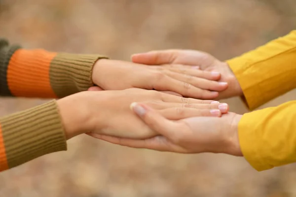 Две руки вместе в парке — стоковое фото