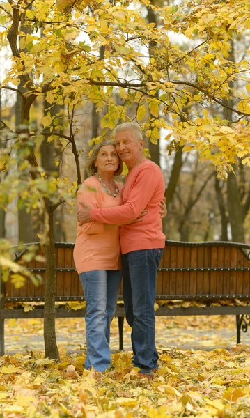 Pareja mayor abrazándose en el parque — Foto de Stock