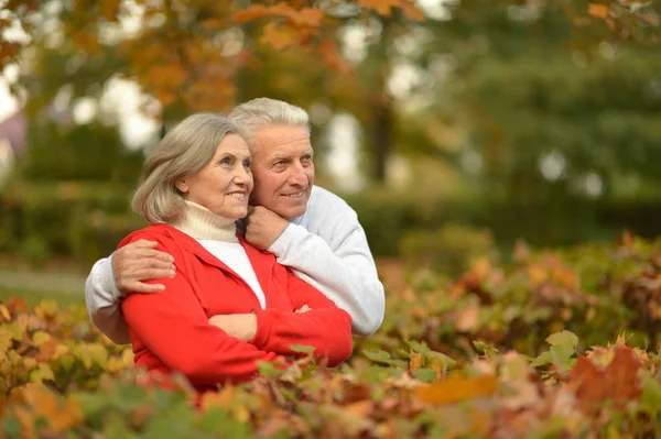 Coppia Senior nel parco autunnale — Foto Stock