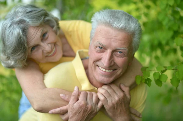 Senior couple hugging   in the park Royalty Free Stock Photos