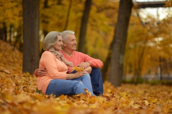 Senior couple sitting — Stock Photo, Image