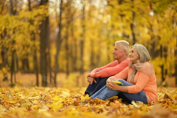 Senior pareja sentado — Foto de Stock
