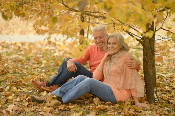 Senior couple sitting — Stock Photo, Image
