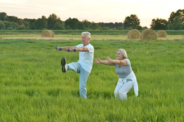 Äldre par gör övningar — Stockfoto