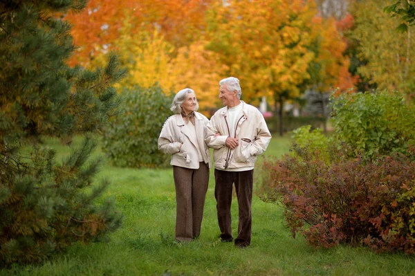 Pareja caminando en el parque — Foto de Stock