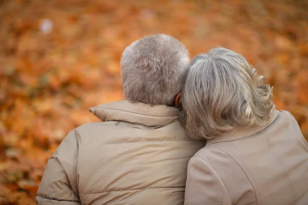 Senior couple hugging in park — Stock Photo, Image