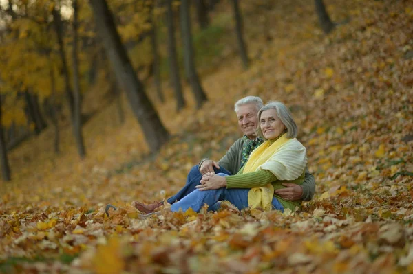 Autumn Park 'ta kıdemli bir çift — Stok fotoğraf