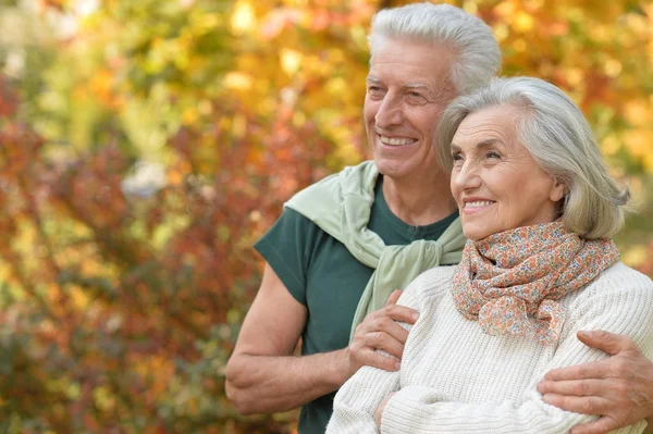 Senior couple hugging   in the park — Stock Photo, Image