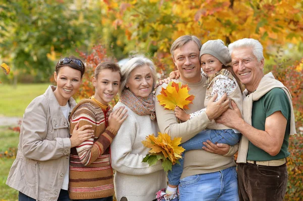 Stor lycklig familj ha kul — Stockfoto