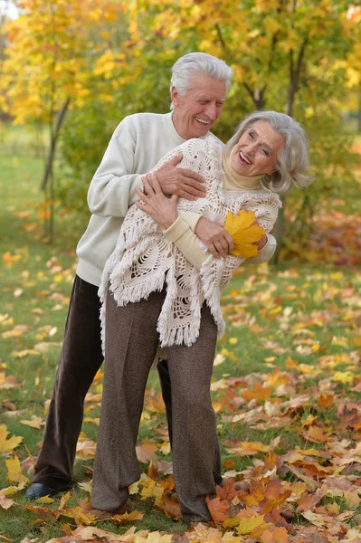 Caucasien couple aîné avec des feuilles — Photo