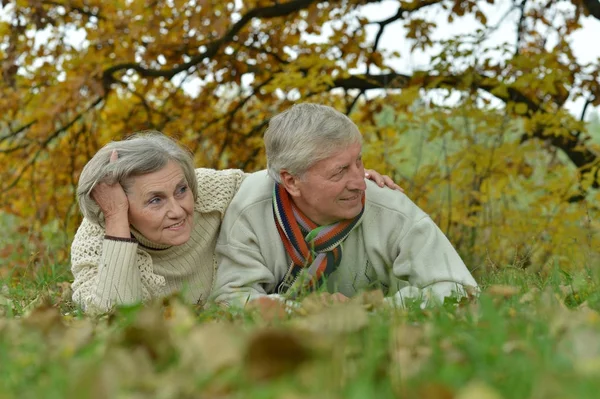 Seniorenpaar in herfstpark — Stockfoto