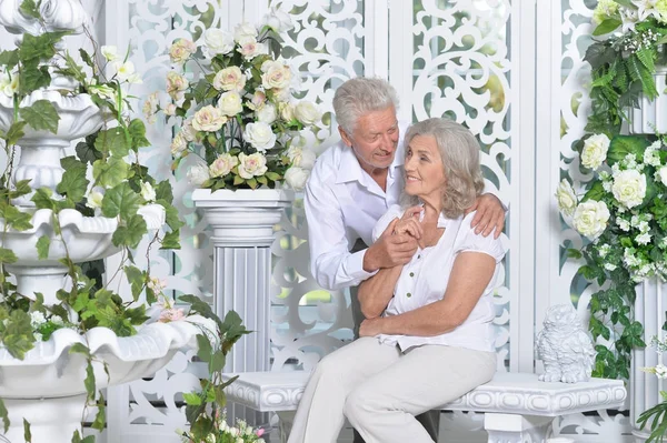 Pareja de ancianos posando en sala de luz —  Fotos de Stock