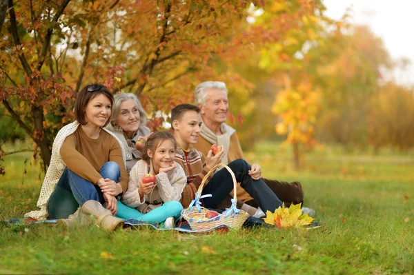 Большая счастливая семья на пикнике — стоковое фото