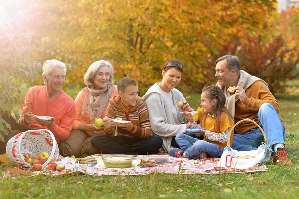 Gran familia feliz en el picnic — Foto de Stock