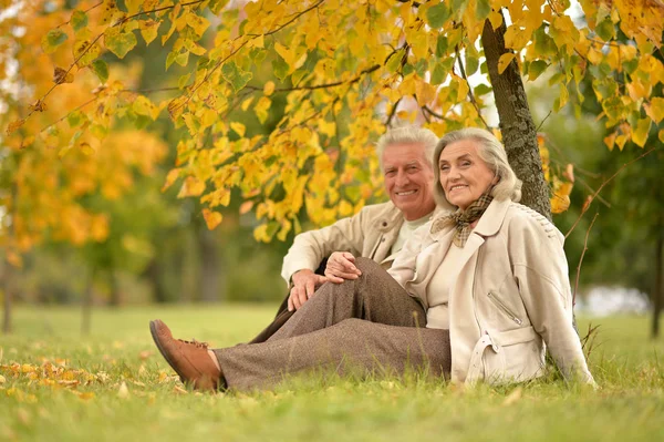 Vedoucí pár v podzimní park — Stock fotografie