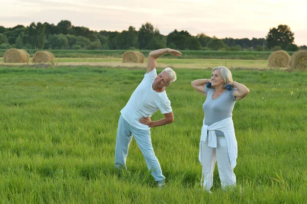 Seniorenpaar macht Übungen — Stockfoto