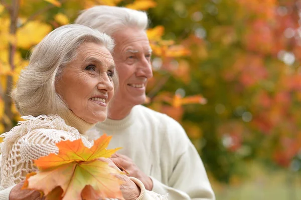Kaukasische senior paar met bladeren — Stockfoto