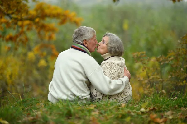 Поцелуи старшей пары — стоковое фото