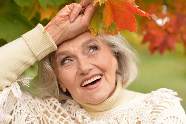 Woman holding autumn leaves — Stock Photo, Image