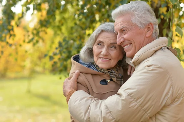 Äldre par kramar i parken — Stockfoto