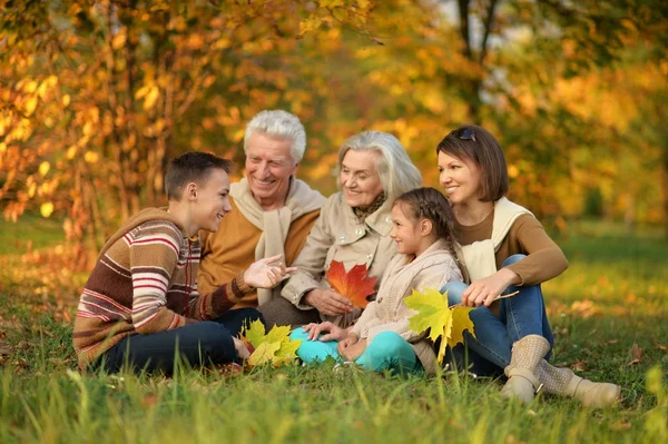 Grote familie plezier — Stockfoto