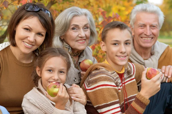 Stor lycklig familj på picknick — Stockfoto