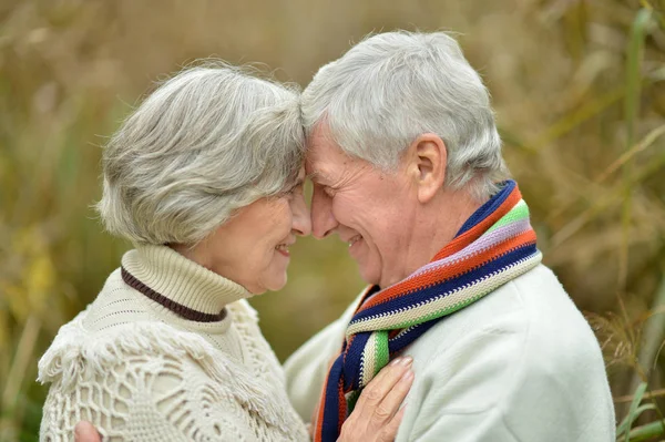 Pareja mayor en el parque de otoño — Foto de Stock