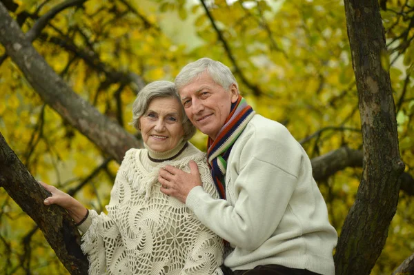 Senior koppel knuffelen — Stockfoto