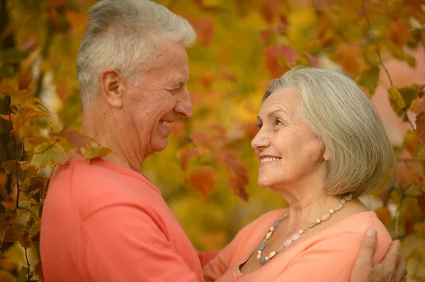 Senior par krammer i parken - Stock-foto