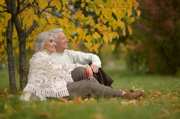 Сидячи старший пара — стокове фото