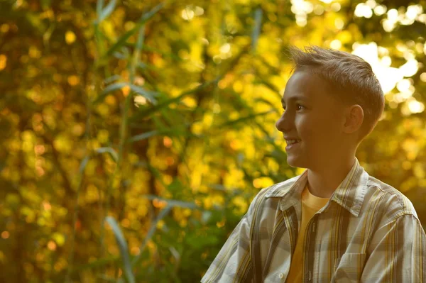 Lycklig pojke i skogen — Stockfoto