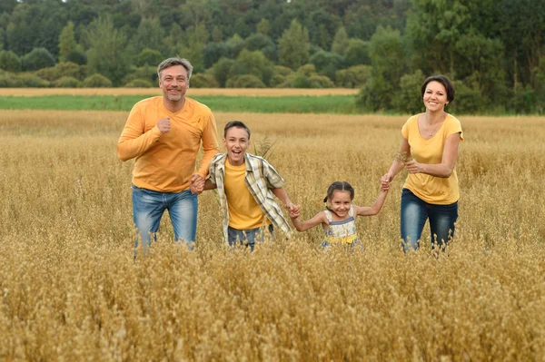 Familj i fältet grön sommar — Stockfoto