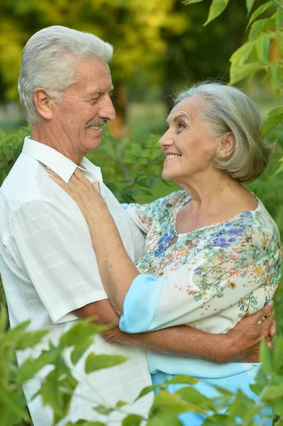 Äldre par i vår park — Stockfoto