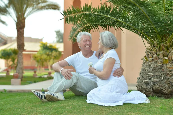 年长的夫妇坐在草地上 — 图库照片