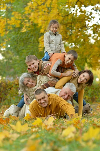 Большая семья веселится — стоковое фото