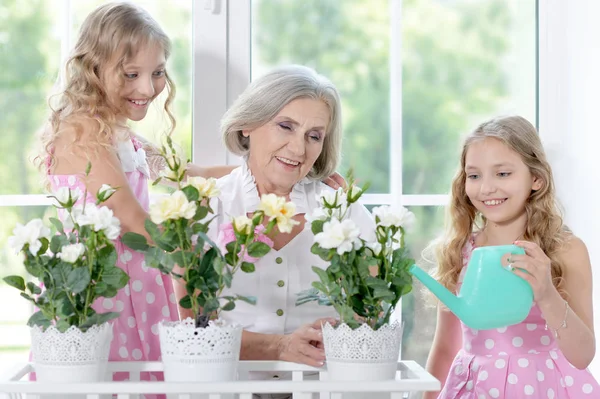 Granny with granddaughters watering flowers — Stock Photo, Image