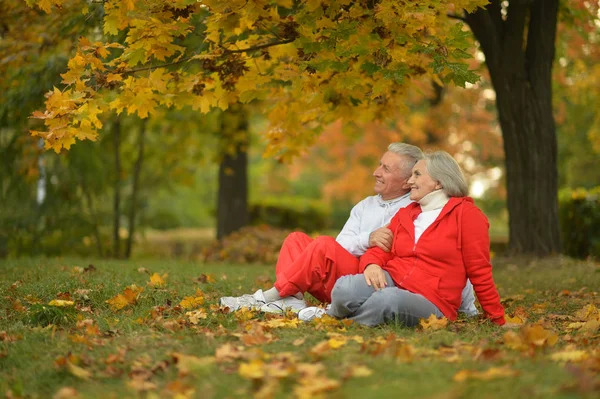 Seniorenpaar entspannt im Park — Stockfoto