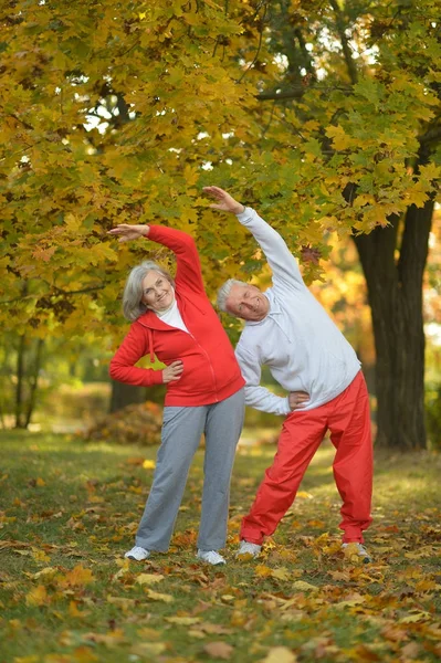 Äldre par gör övningar — Stockfoto