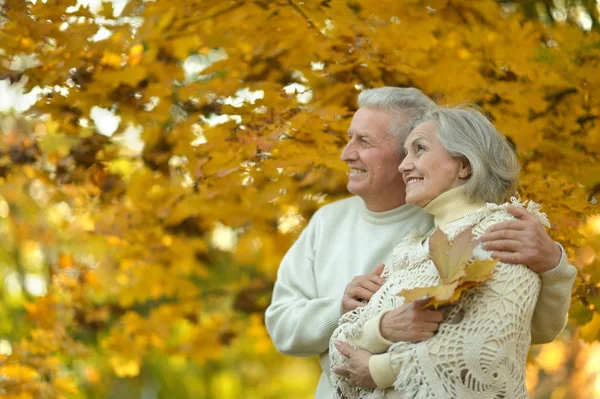 Seniorenpaar ontspannen in park — Stockfoto